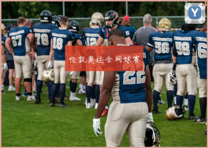伦敦奥运会网球赛
