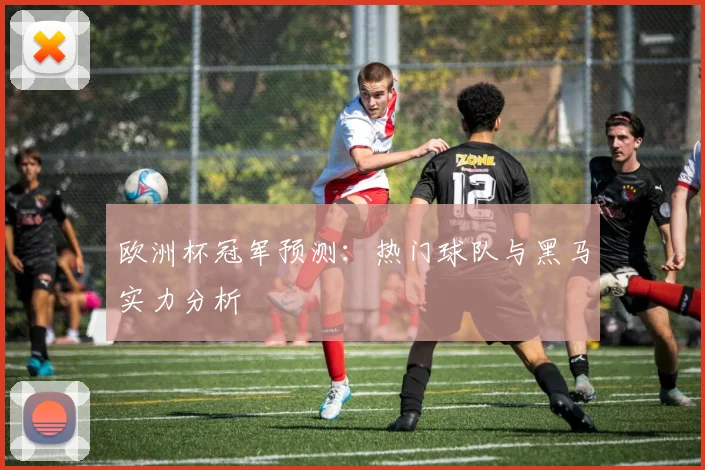 欧洲杯冠军预测：热门球队与黑马实力分析