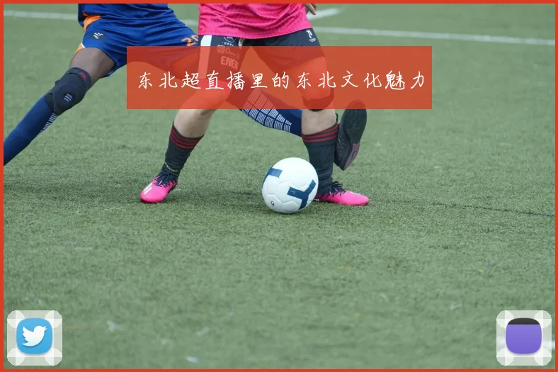 东北超直播里的东北文化魅力