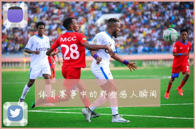 体育赛事中的那些感人瞬间