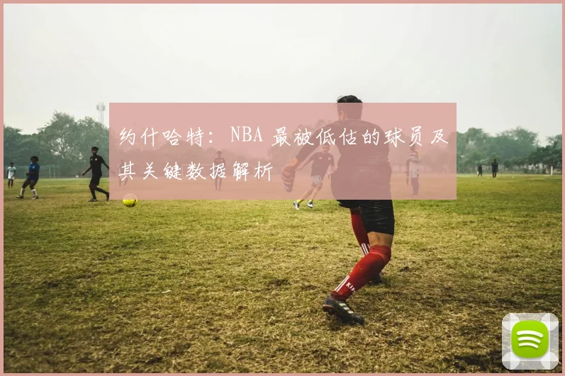 约什哈特：NBA 最被低估的球员及其关键数据解析