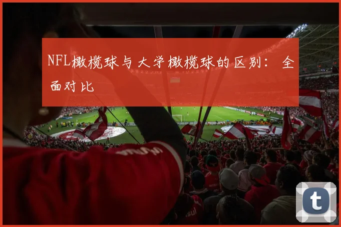 NFL橄榄球与大学橄榄球的区别：全面对比