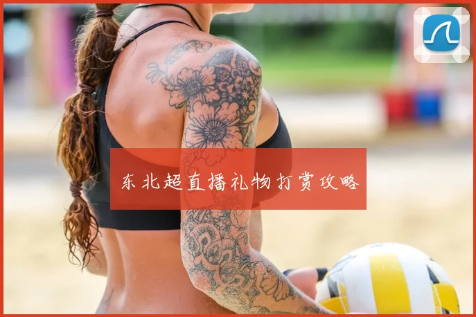 东北超直播礼物打赏攻略