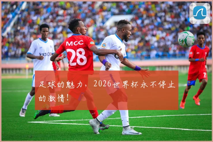 足球的魅力，2026世界杯永不停止的激情！
