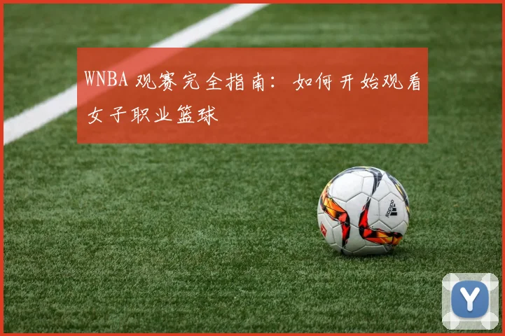 WNBA 观赛完全指南：如何开始观看女子职业篮球