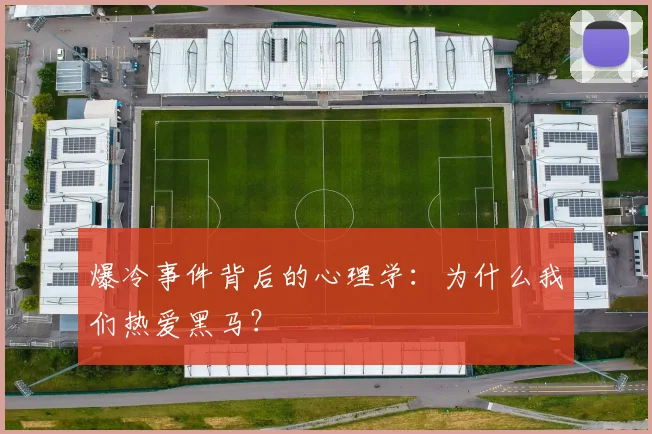 爆冷事件背后的心理学：为什么我们热爱黑马？